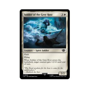 Soldier of the Grey Host #32