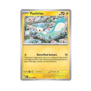 Mega Evolutions Pachirisu Holo #51