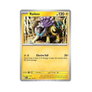 Mega Evolutions Raikou Holo #48