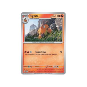 Ascended Heroes Pignite Friendball Holo #30
