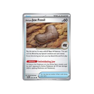Perfect Order Antique Jaw Fossil Holo #68