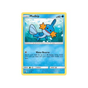 Celestial Storm Mudkip #32