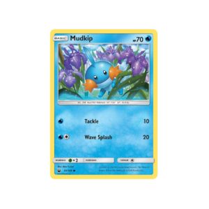 Celestial Storm Mudkip #33