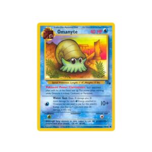 Fossil Omanyte #52